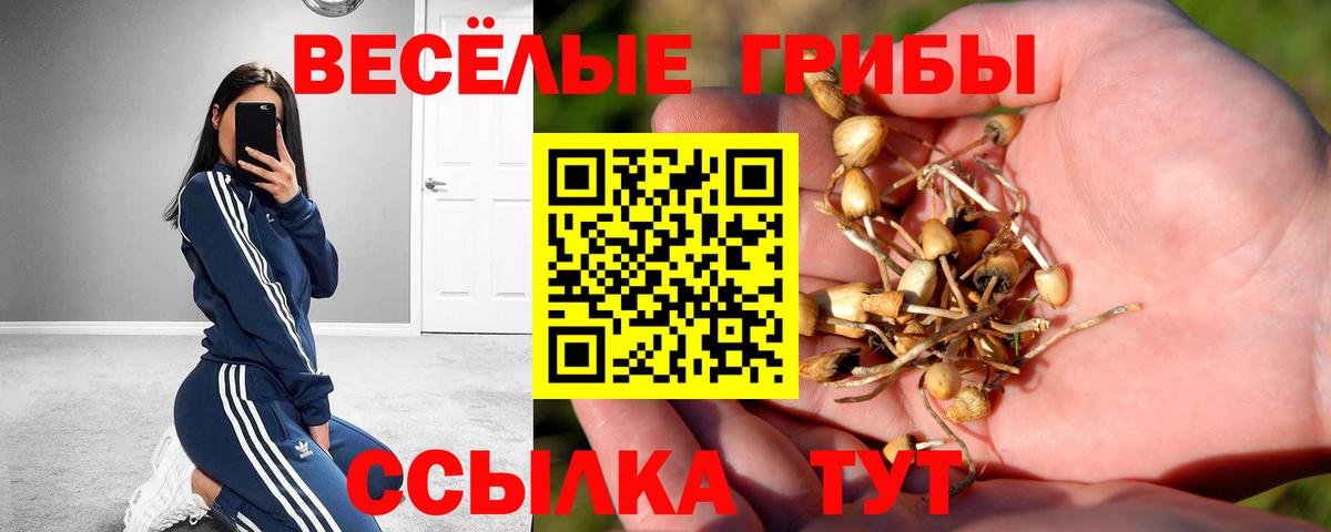 Люберцы  Псилоцибиновые грибы Cubensis  дарнет шоп  Галлюциногенные грибы MAGIC MUSHROOMS  Вход с VPN 